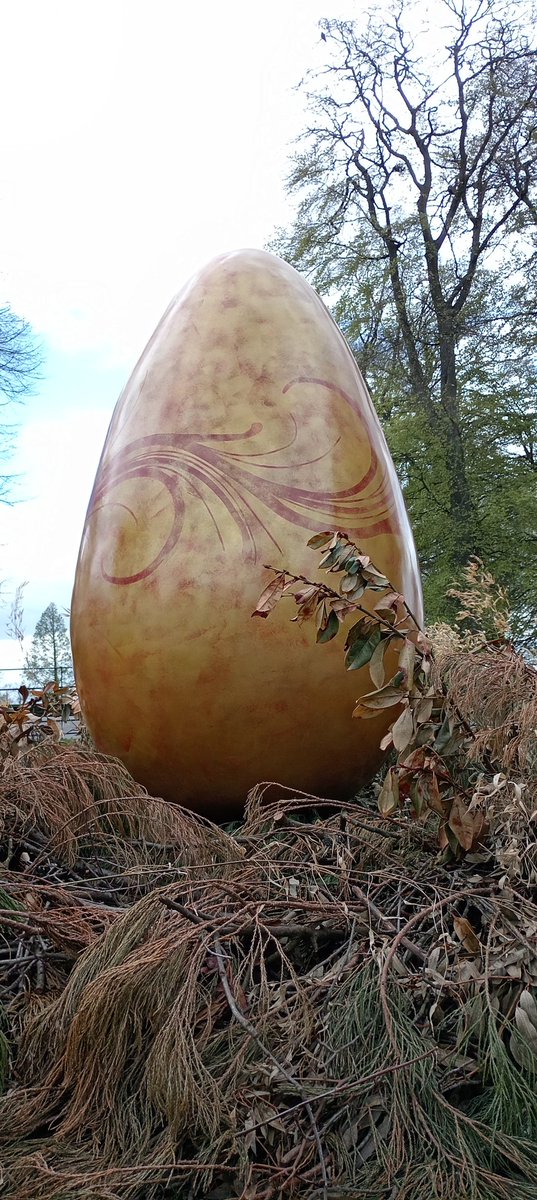 Sarah Lynette tweet media