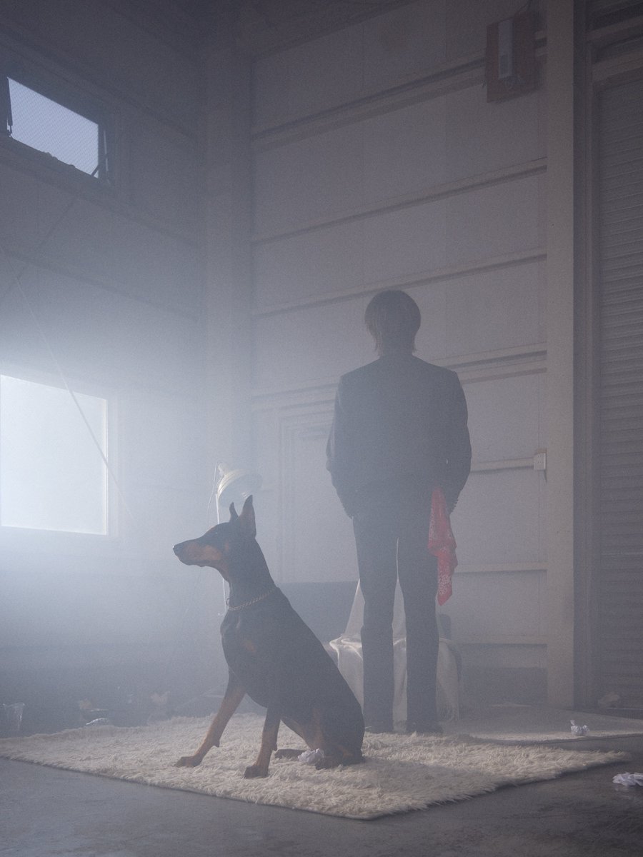 Shinya Kako / 加古伸弥 tweet media