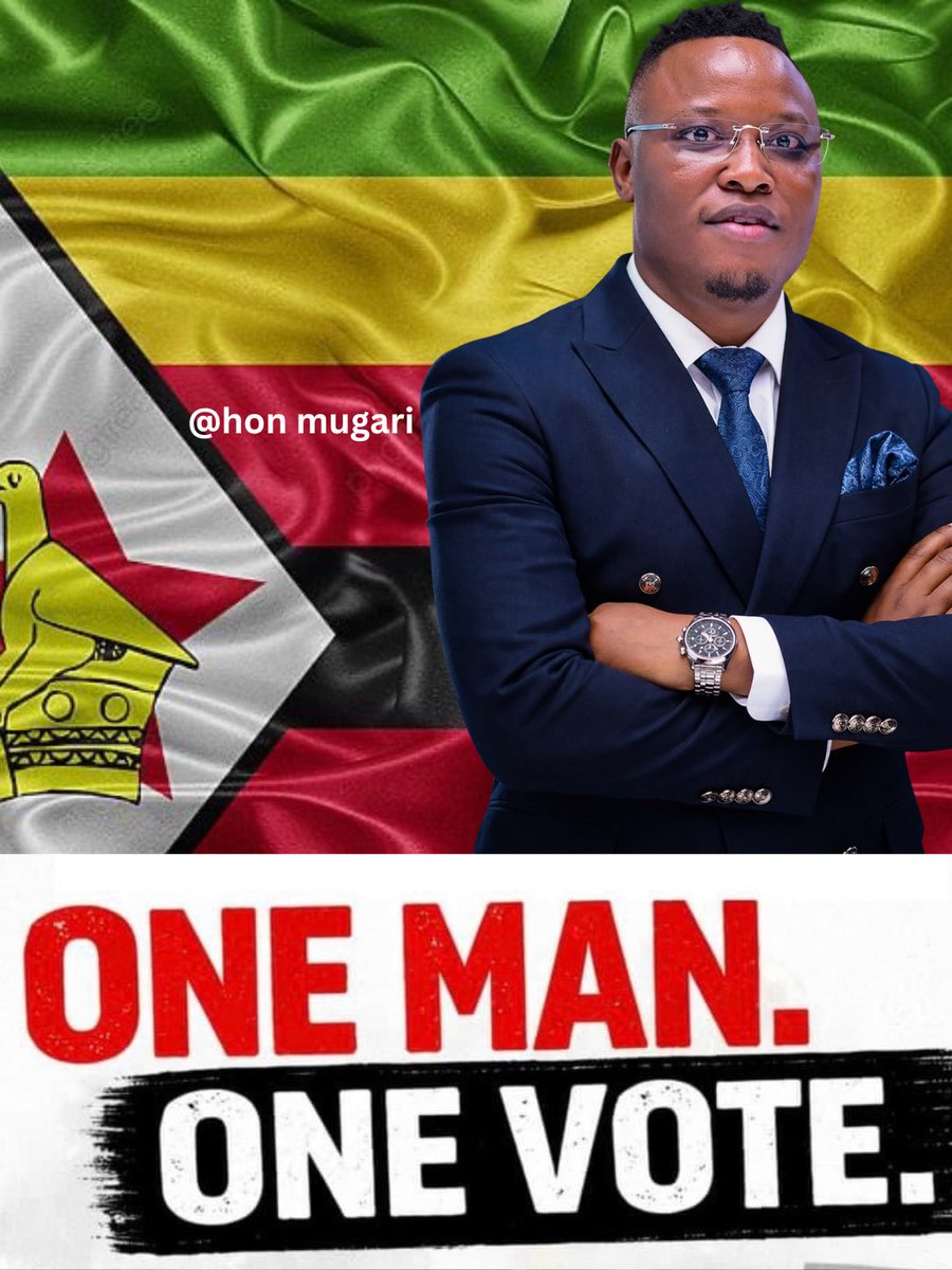 Hon Elvis Mugari tweet media