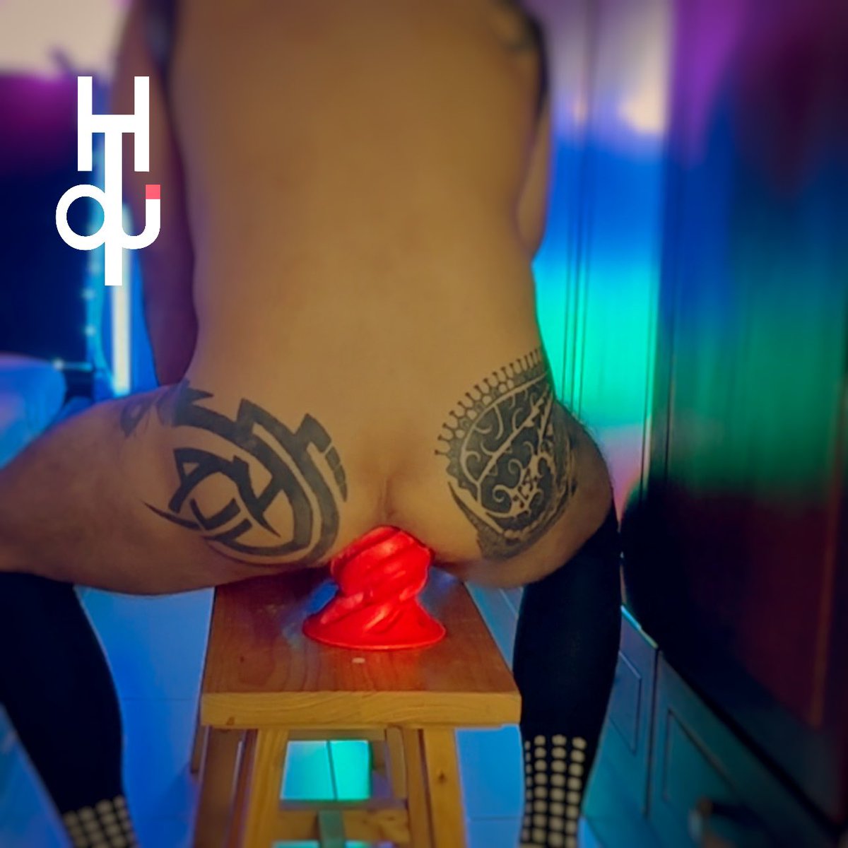 Hatu hardcore tweet media