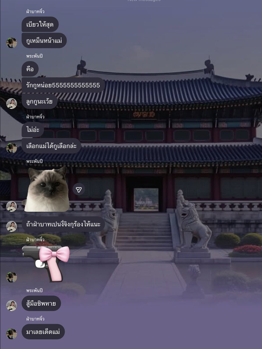 cindy 신디 ♯ 8lien certified huiju’s carpet 🜲 tweet media