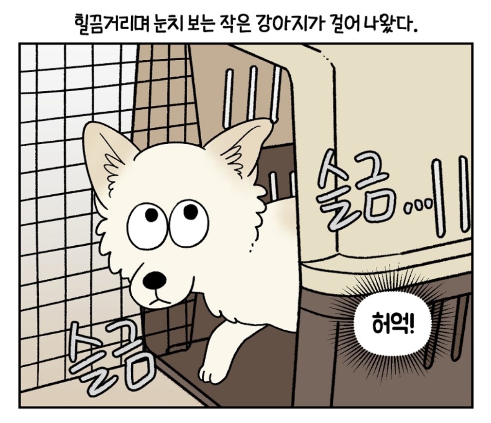 마일로 tweet media