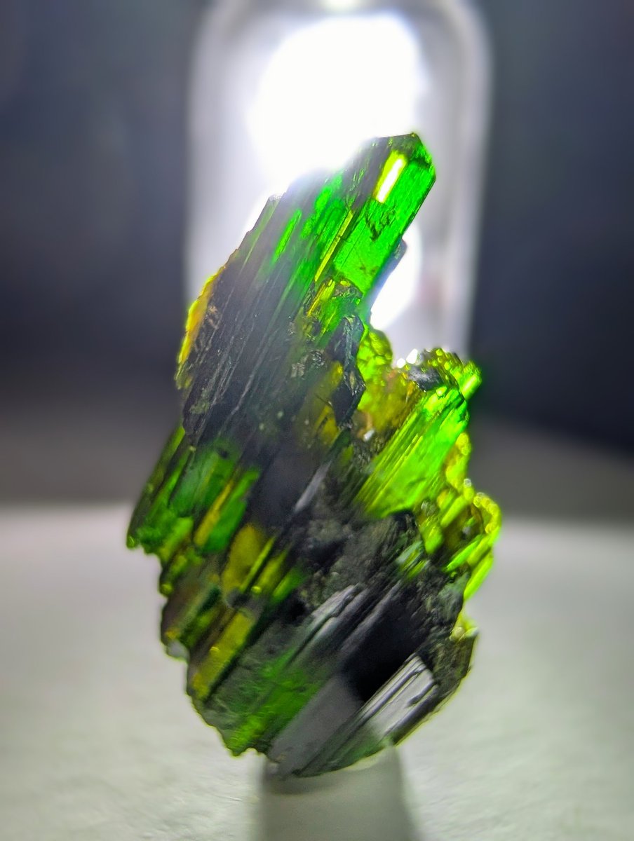 雪⛰️国 tweet media