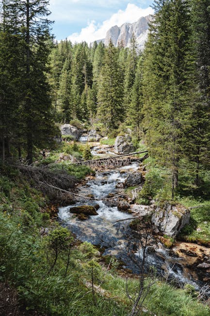 Jason Peterson tweet media