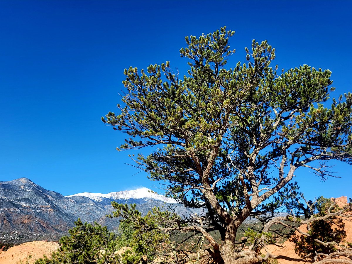 TamiK_Colorado's tweet image. Beautiful day to you all from Colorful Colorado with love ❤️ #beautiful #sky over #PikesPeak #Colorado #NaturePhotography 🗻🧡🌲