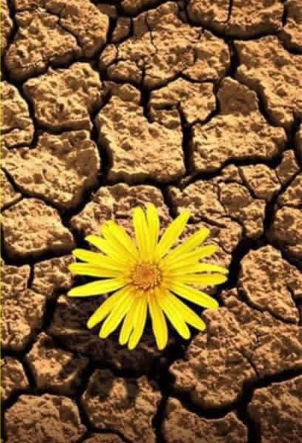 🇿🇼 Babes wehunters 🍻 tweet media