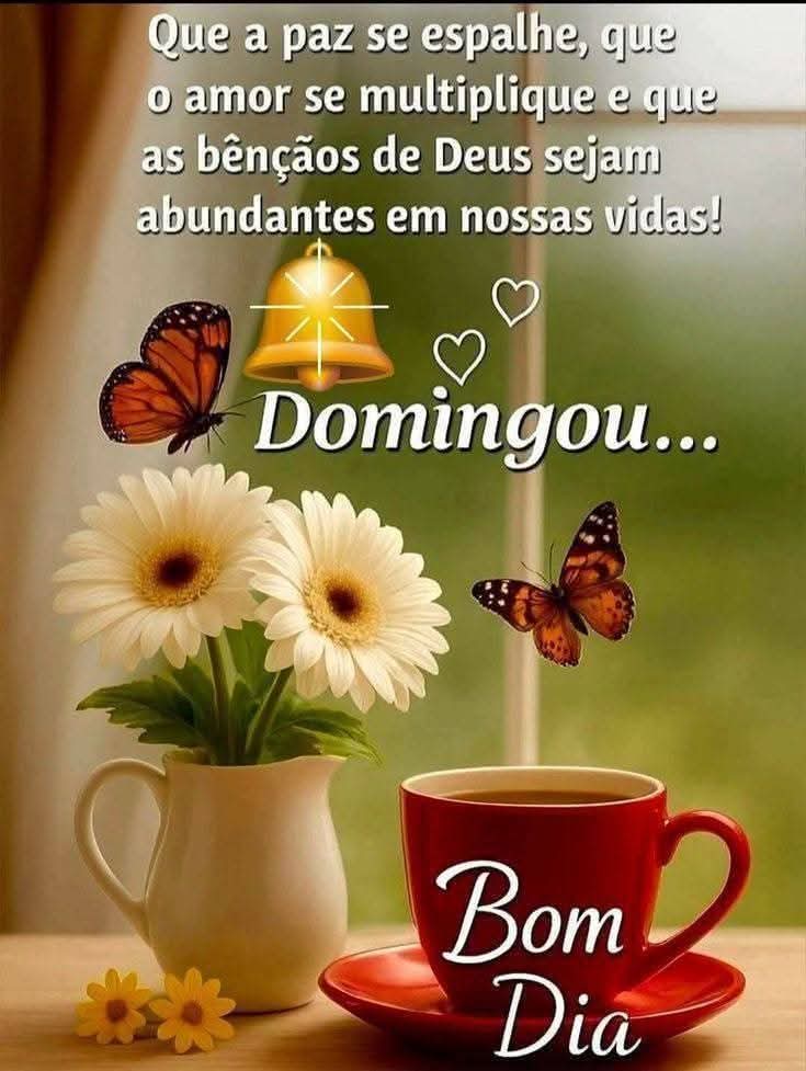 Edelweiss Surerus🇧🇷🇩🇪 tweet media