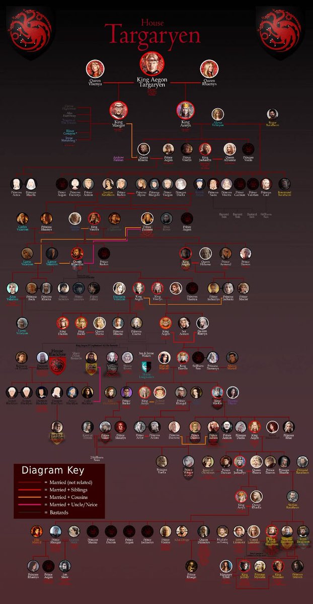 Cinetopya's tweet photo. House of Targaryen https://t.co/qZCe2hEJvg