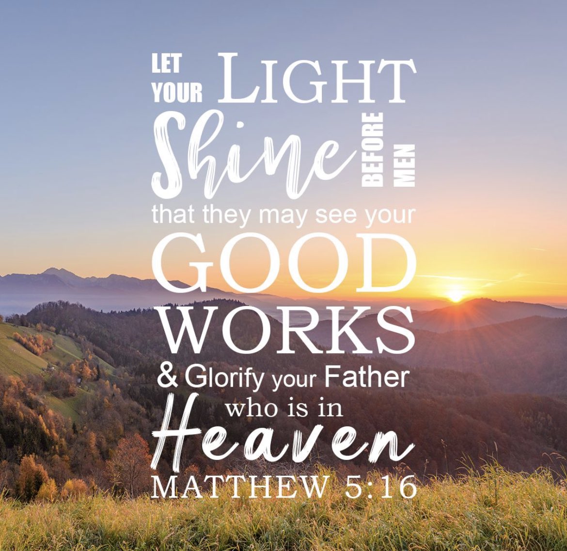 𝐂𝐂 tweet media