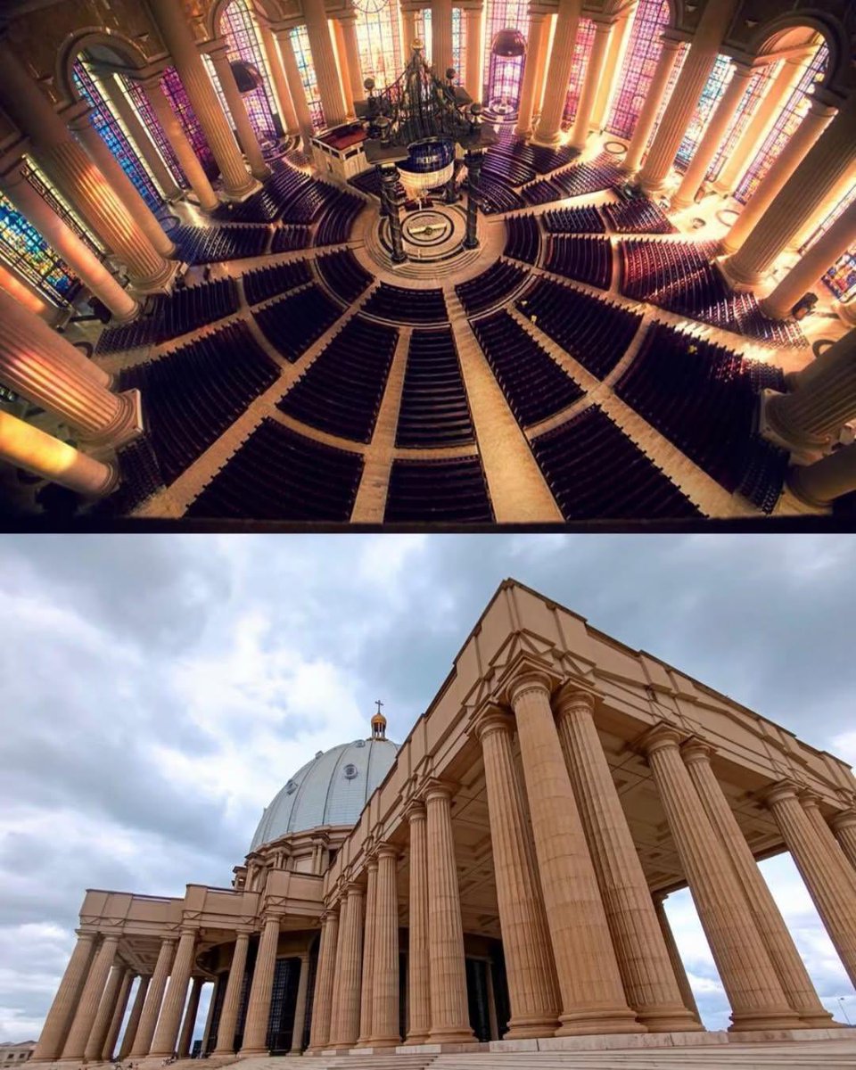 Pulse Nigeria tweet media