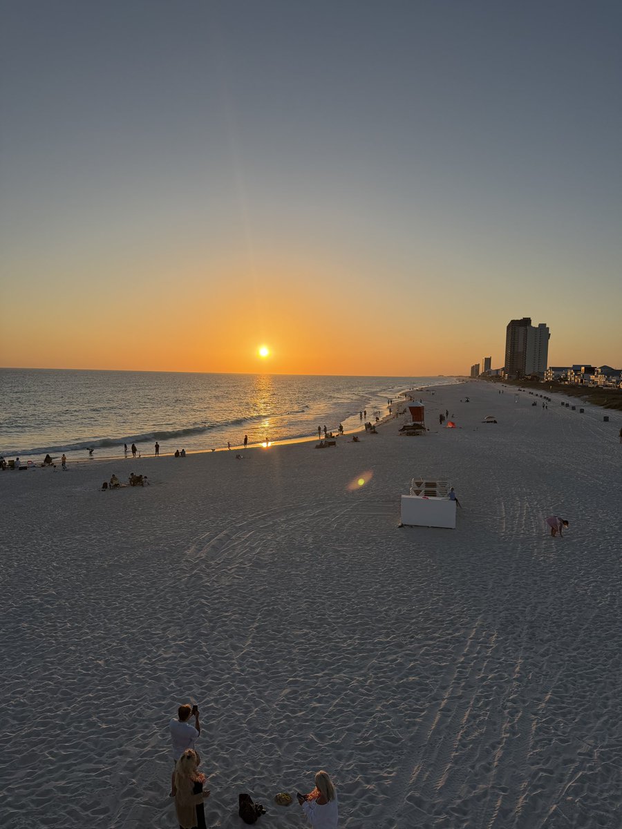 Beth Fogle tweet media