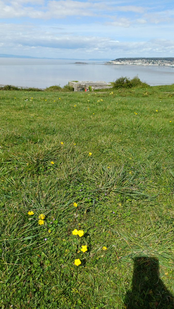 Gem_Star7 tweet media