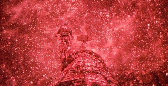 liz ꪆৎ tweet media