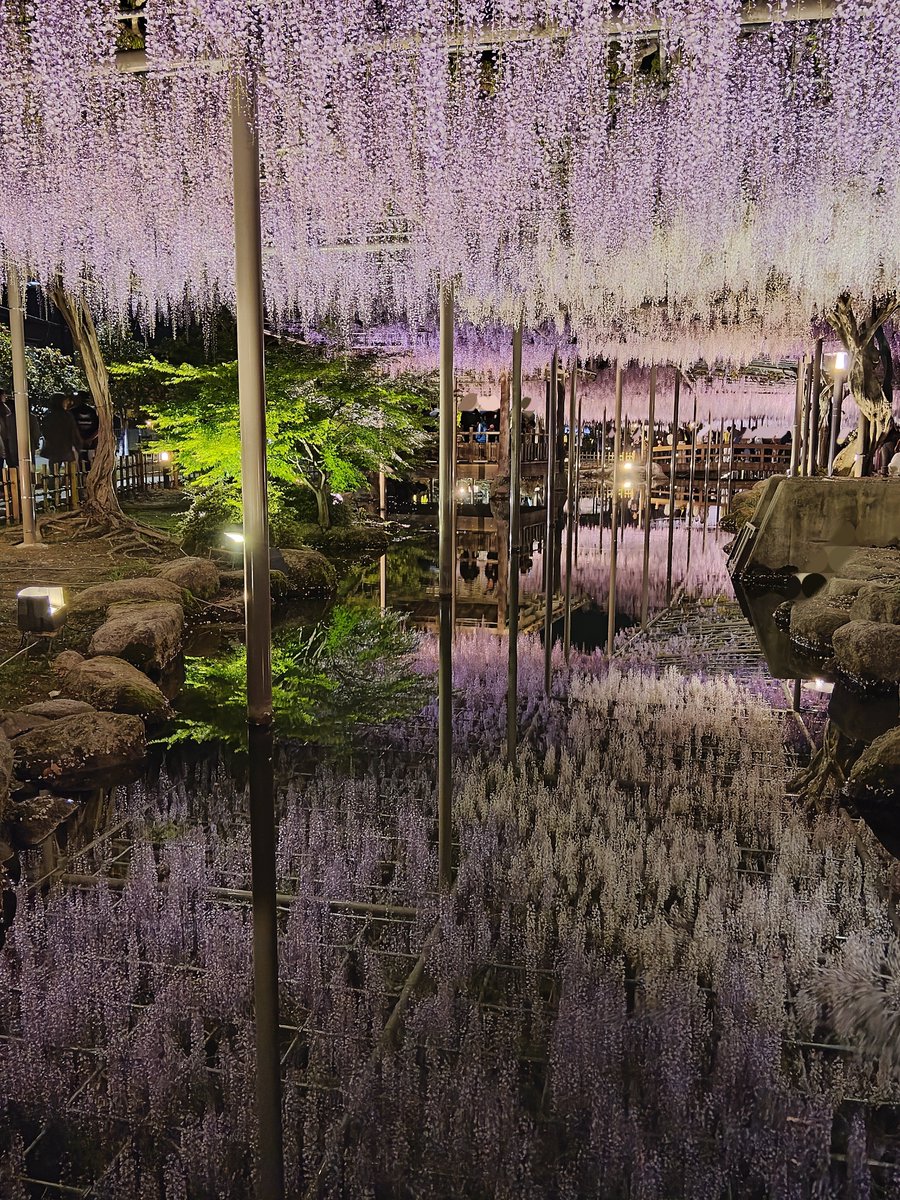 エイトン tweet media