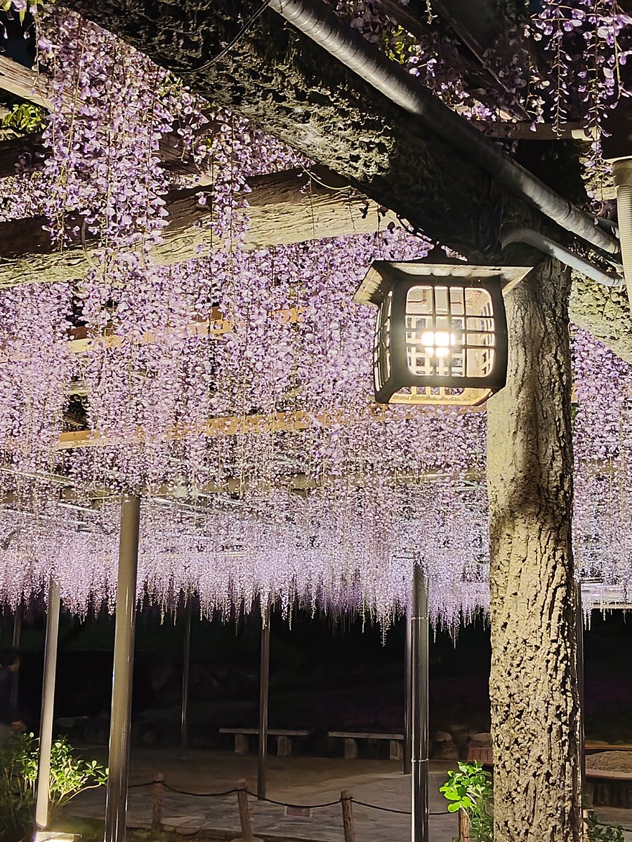 エイトン tweet media