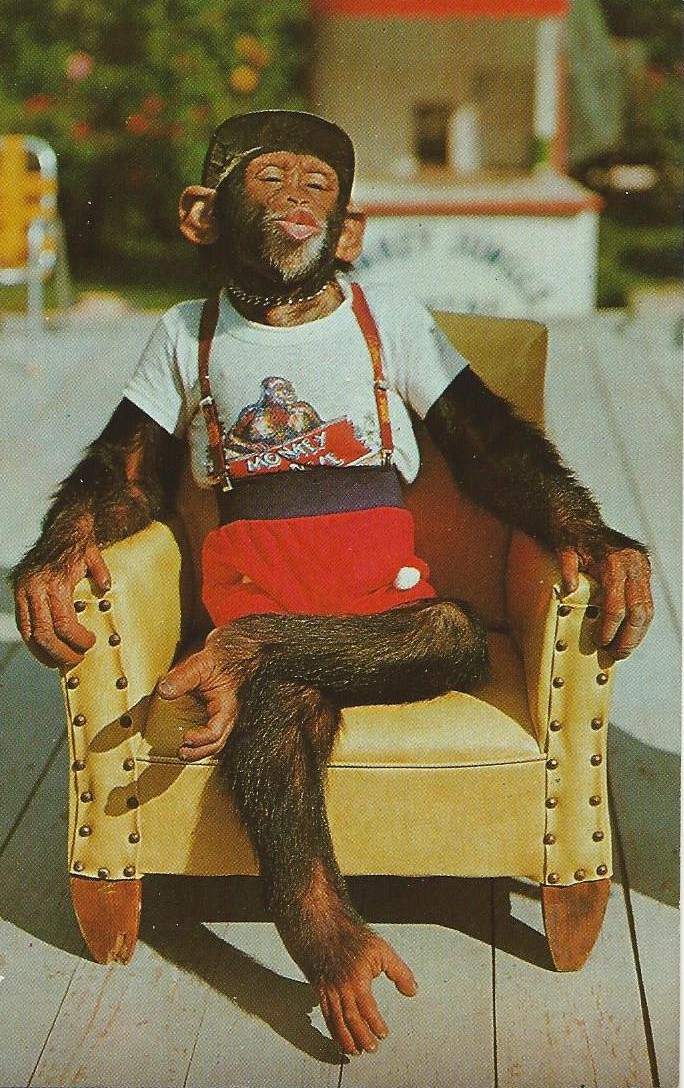 Genuine Class tweet media