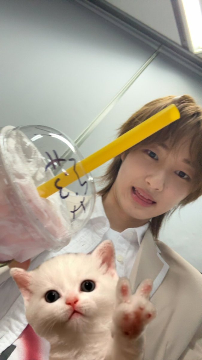 다오 ☆*｡ tweet media