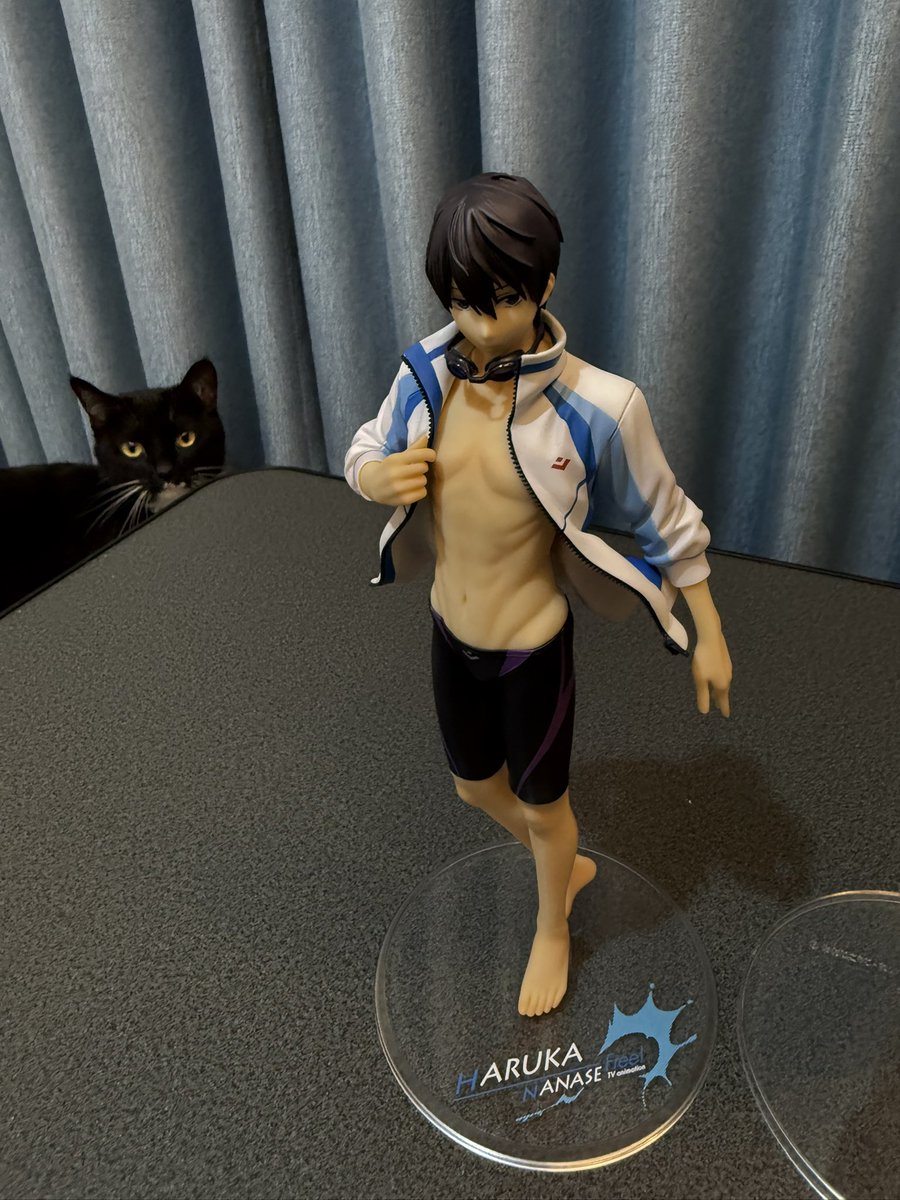 라연🐬アケン✨ tweet media