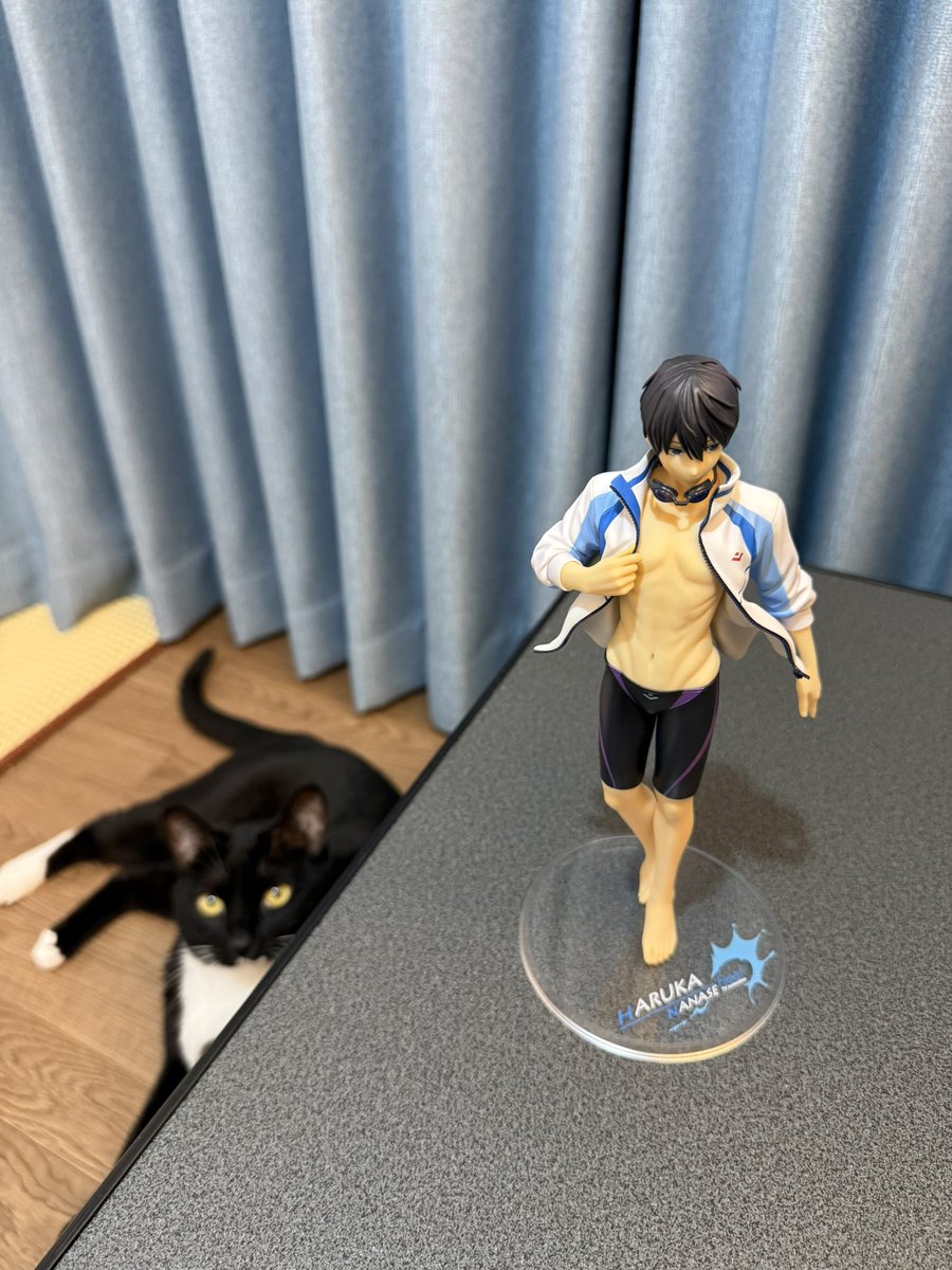 라연🐬アケン✨ tweet media