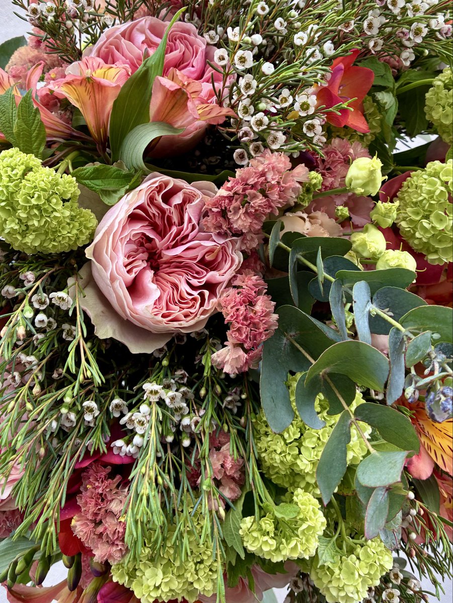 Le gros bébé du jour !!🌾🌻