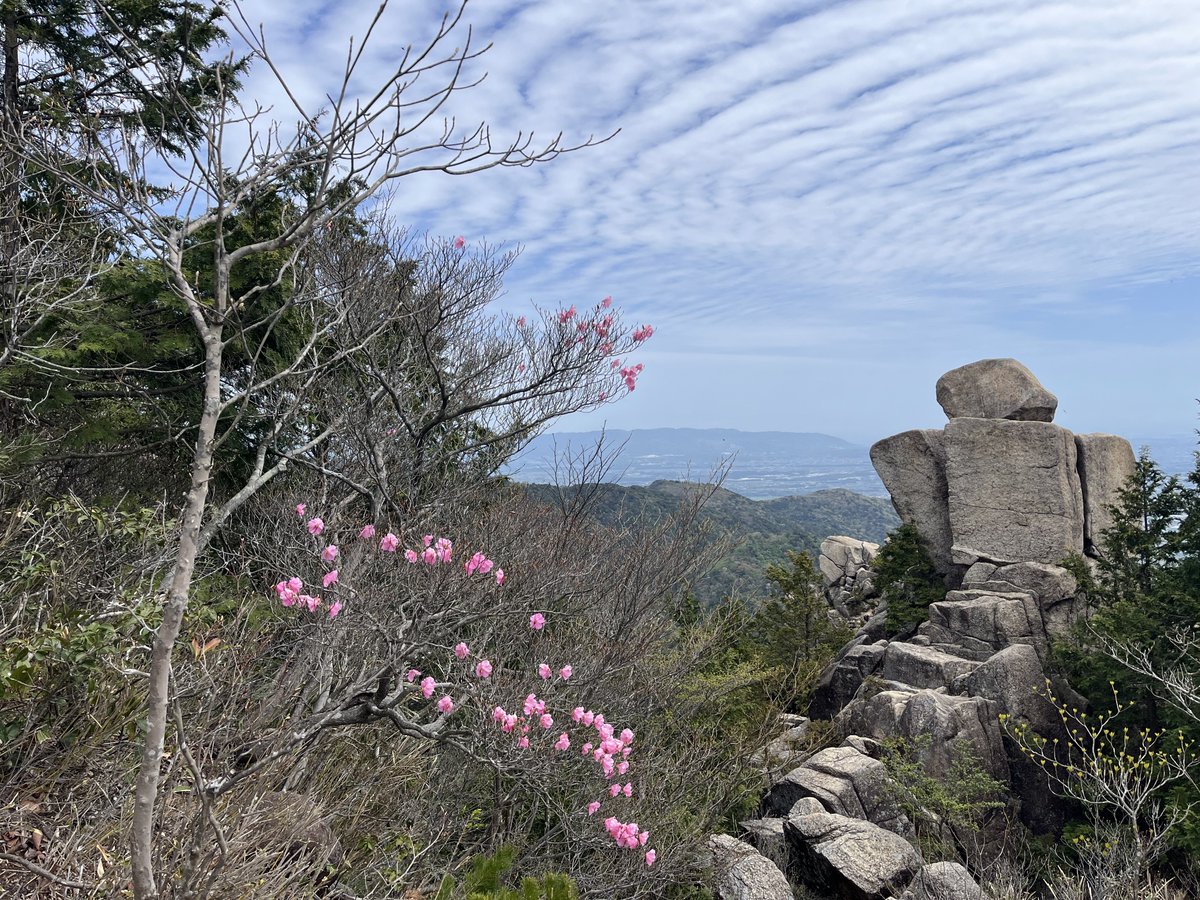 がみ/Gami tweet media