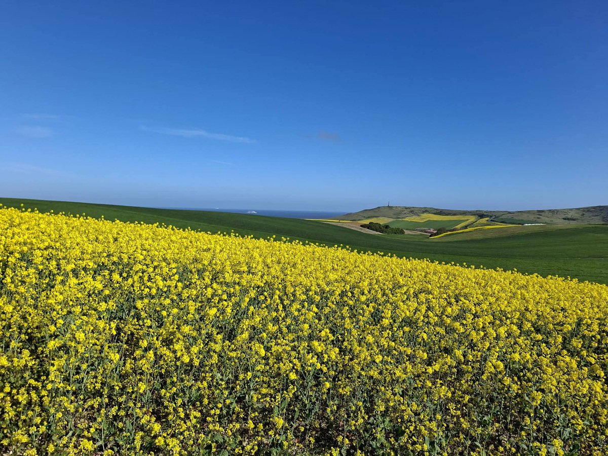 爪刄尺ソ tweet media