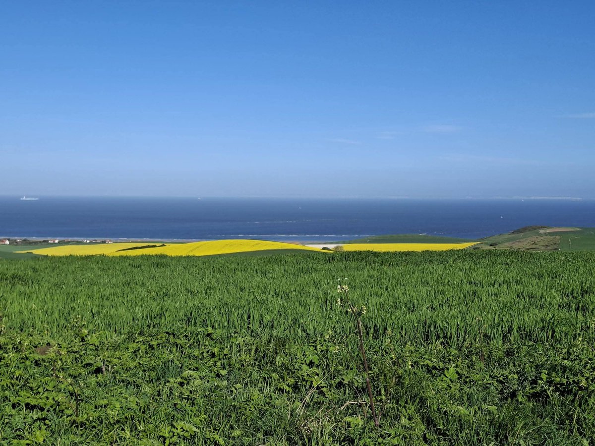 爪刄尺ソ tweet media