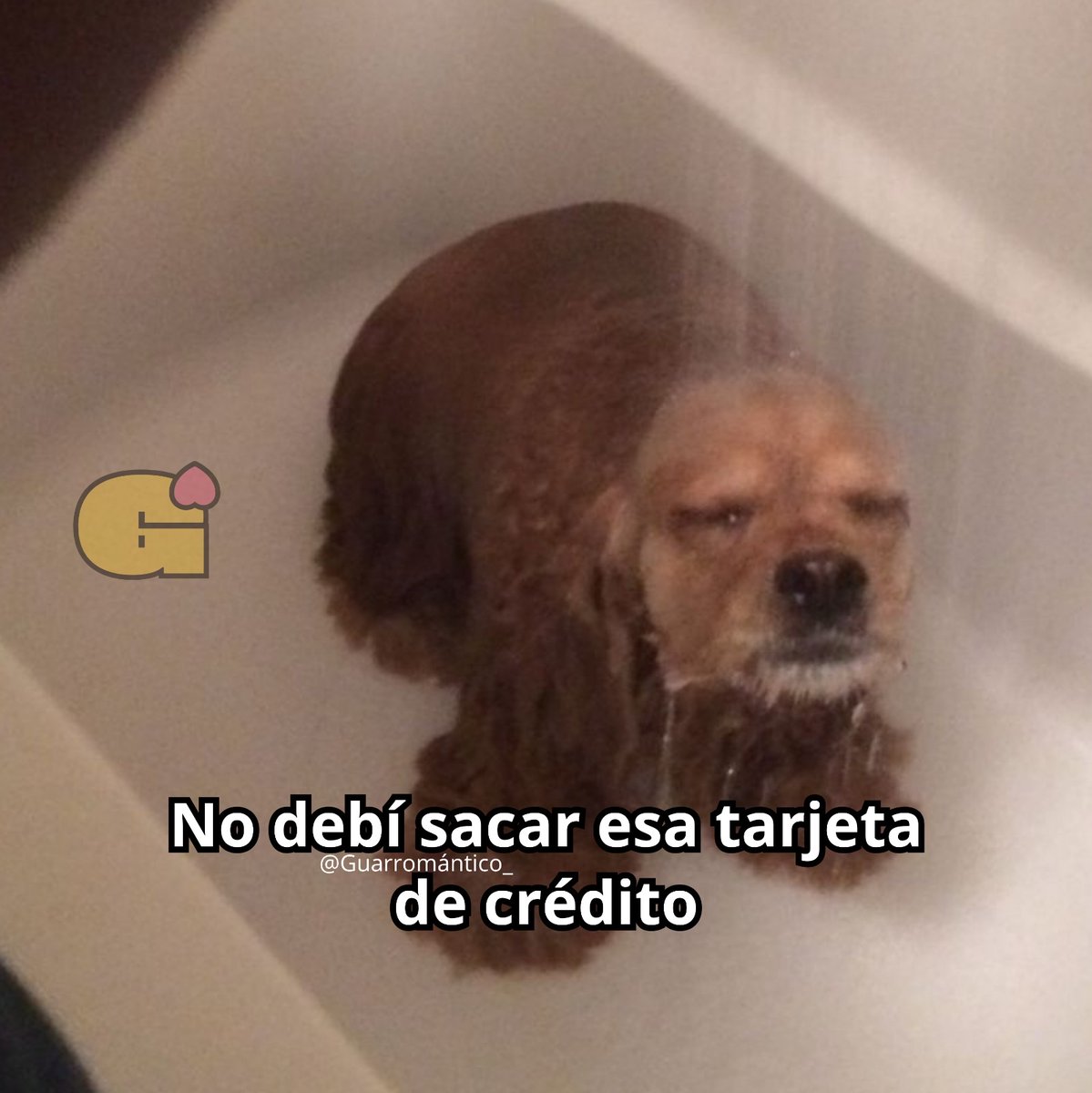 El Guarromántico tweet media