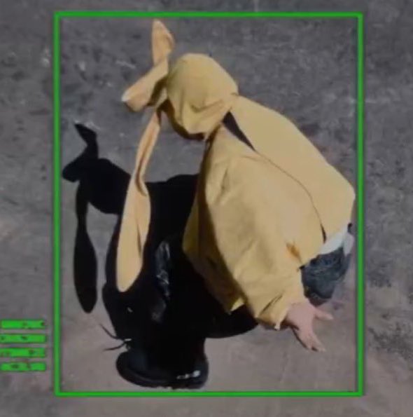 yangmimi Lv.23 tweet media