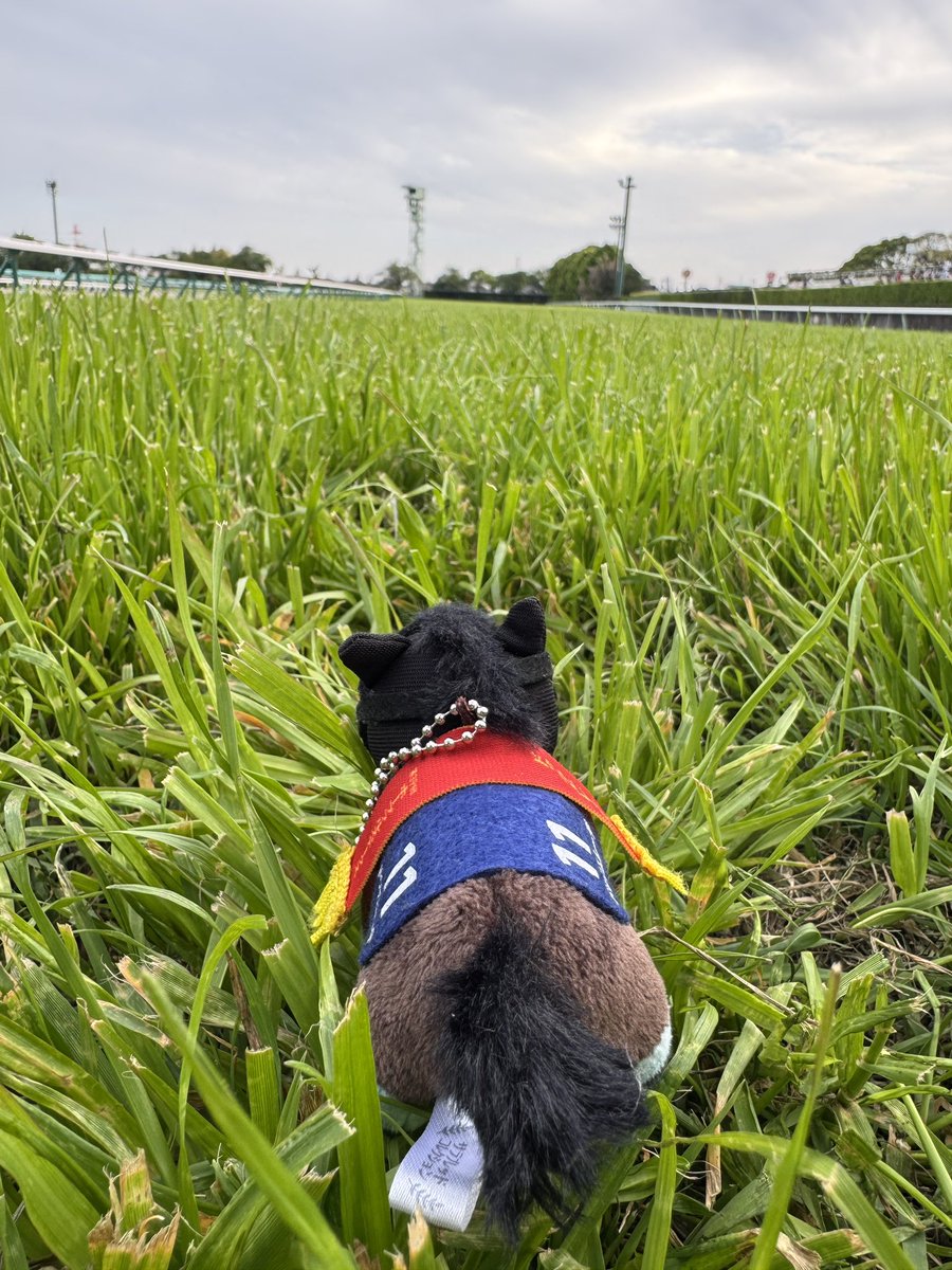 ななし tweet media