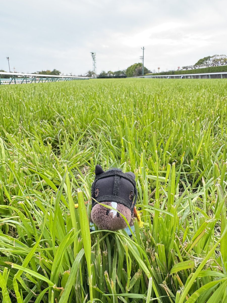 ななし tweet media