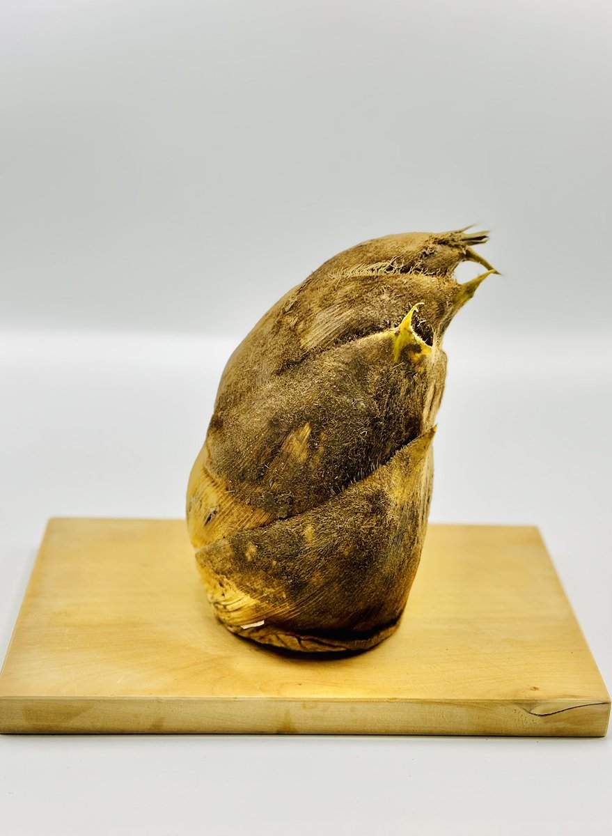 伊織(執事歌劇団) tweet media