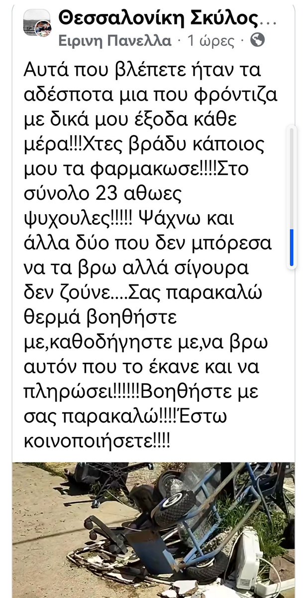 Christinalirou2's tweet photo. Θεσσαλονίκη ‼️🆘‼️🆘‼️🆘‼️ η εθελόντρια που φρόντιζε 23 αδεσποτακια με τροφές φάρμακα στειρωσεις με δικά της χρήματα κάνει έκκληση με κλάματα έριξαν φόλες κ της τα σκότωσαν βρέθηκαν 21 νεκρά  κ δυο λείπουν. ΠΑΡΑΚΑΛΕΊ ΟΠΟΙΟΣ ΕΊΔΕ ΞΈΡΕΙ ΝΑ ΕΠΙΚΟΙΝΩΝΉΣΕΙ ΜΑΖΊ ΤΗΣ. ΚΟΙΝΟΠΟΙΟΎΜΕ https://t.co/LDRo6YC5ht