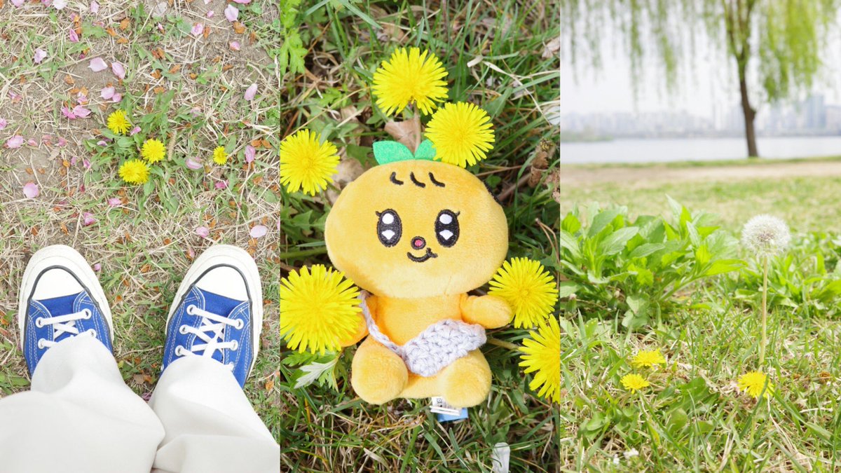 ぴ𖦊ັ tweet media