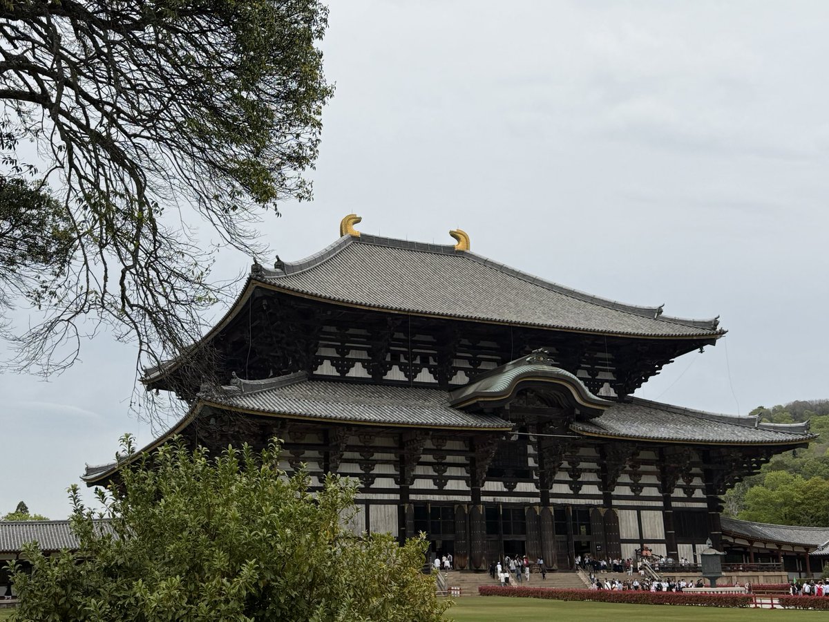 🩷cana_2nd🩶 tweet media