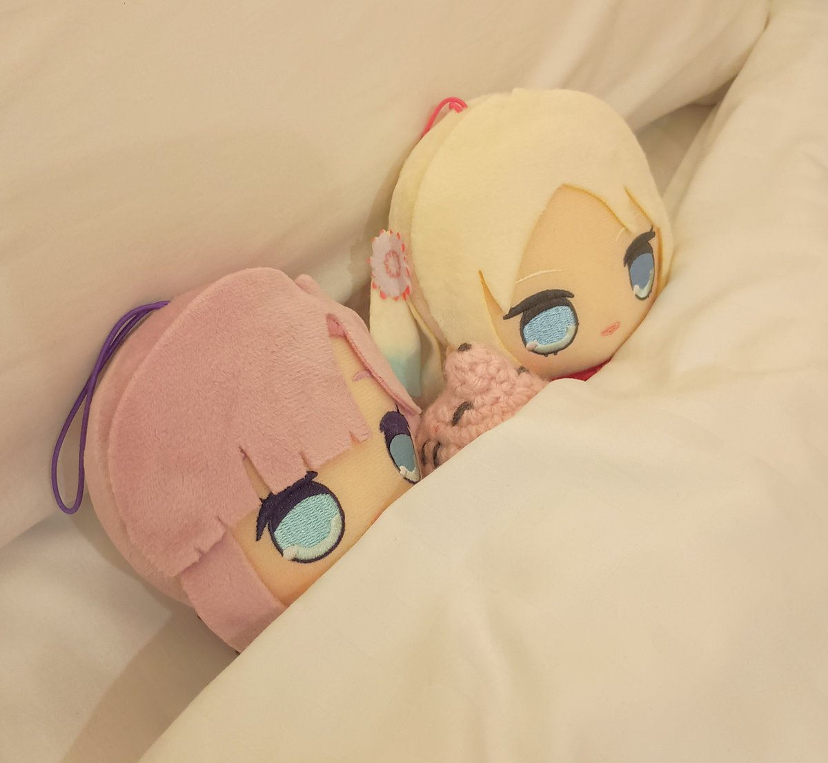 あにょざらし観測記 tweet media