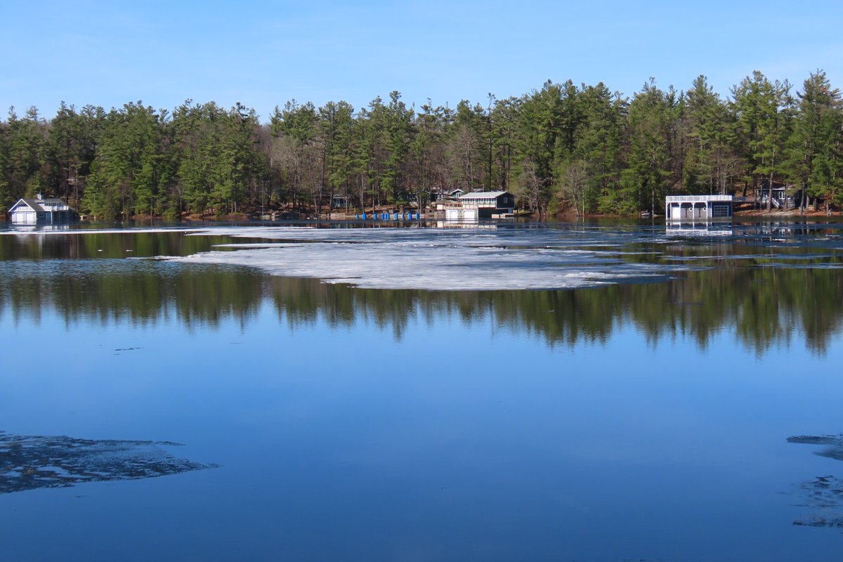 Lynne 🍁❤️ tweet media