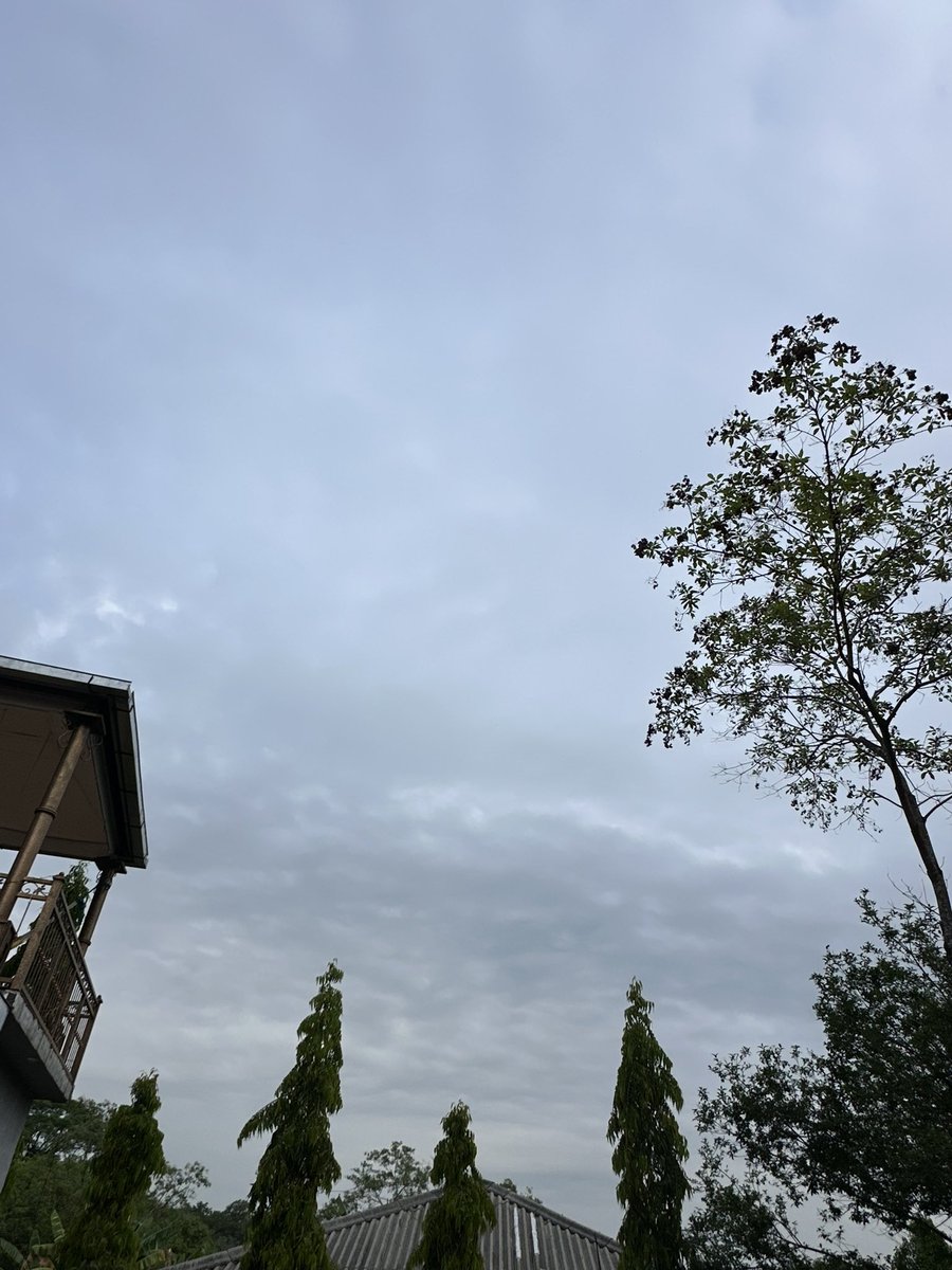 rouss1729's tweet photo. ☁️🍃 https://t.co/G7JmPdXTfO