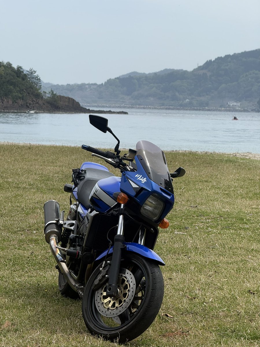 xhadpm's tweet photo. バイクも好きだけど青いものが好きだから結構花すき https://t.co/6TtQfx6znB