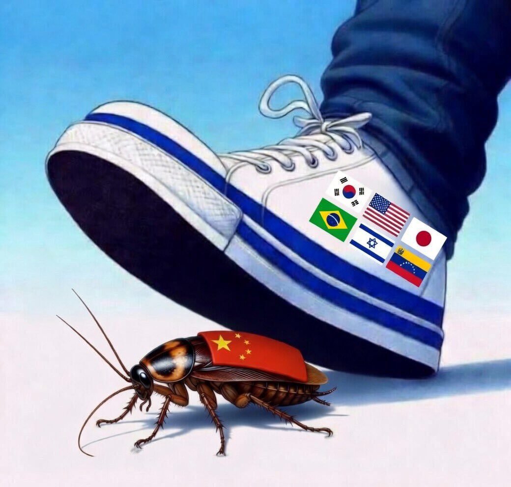 YiFeng Su tweet media