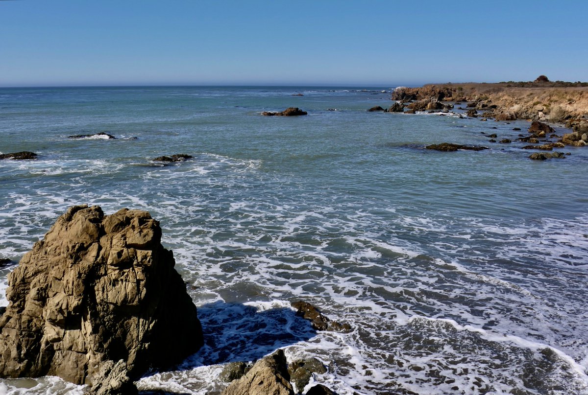 Leslie SoCal ☮️📸🇵🇸 tweet media