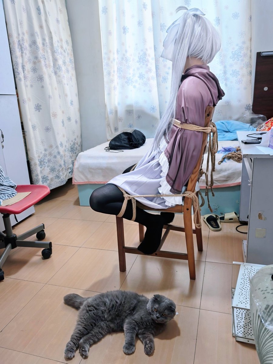 在某个镜世界中...
房间中时不时传出绳子的摩擦声与少女的呜呜声。房门打开，走进来一位抱着猫的男子。
“果然拿这只猫当诱饵是对的呢，音理酱肯定不会对它置之不理吧”
自从音理发现了在街边的流浪猫后，每天都会去小巷里给小猫喂食。但是有一天，音理进入小巷后，有一名男子悄悄靠近...
🪢：<a href="/Hiya_sama/">白羽雪々❄️</a>