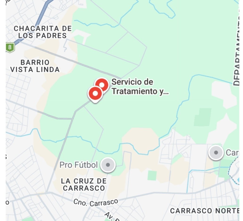 M.Teresa Nogueira Real de Azúa tweet media