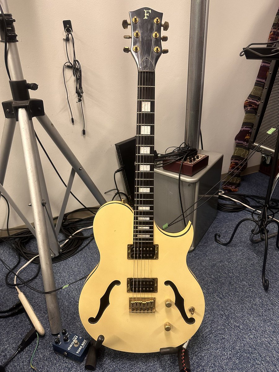 FERNANDES #MV95HT #布袋モデル そしたらこいつが待ち受けてたッ 初期