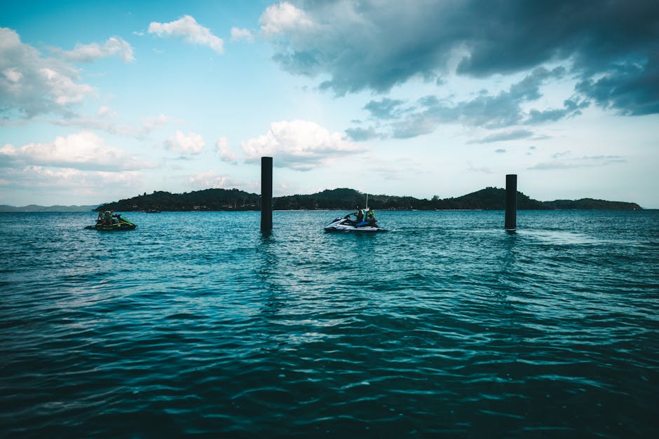 Thomas Ortiz tweet media