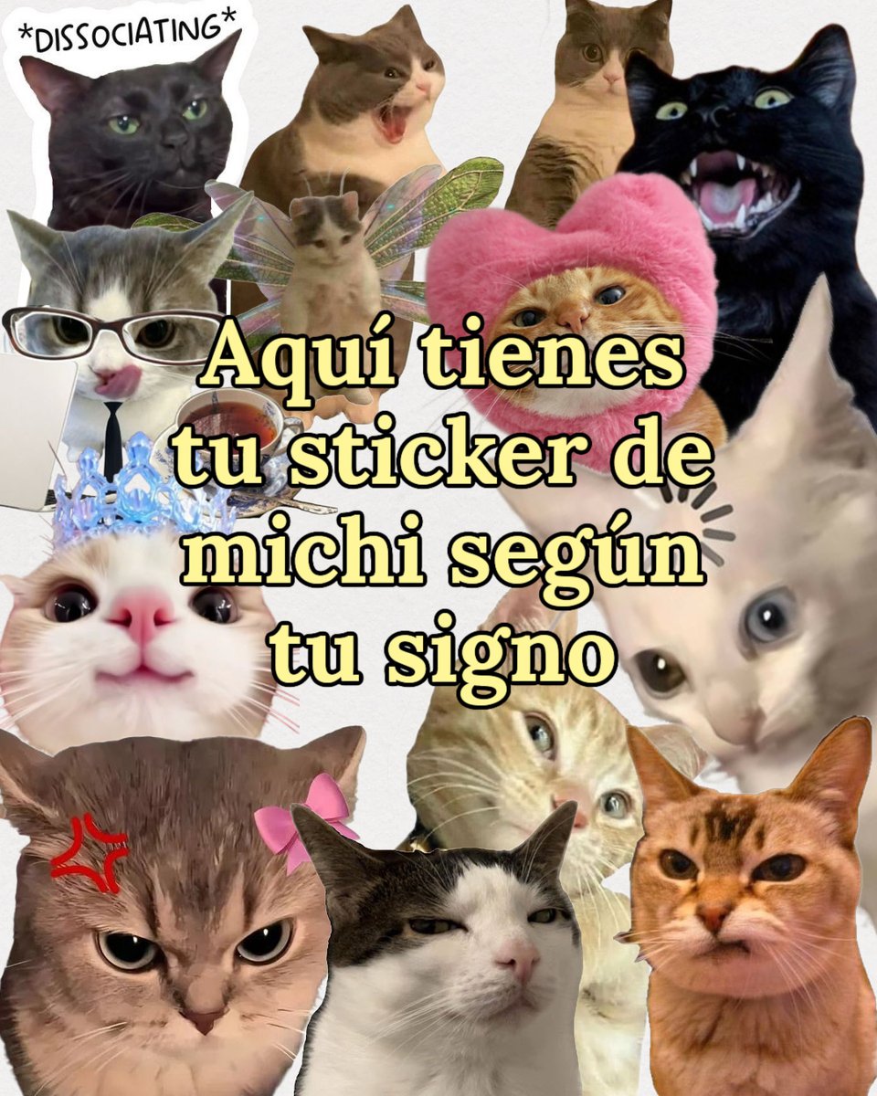 acuario_hn's tweet photo. Aquí tienes tu michi versión sticker 🐱🖤 https://t.co/vx4RVWSYEe