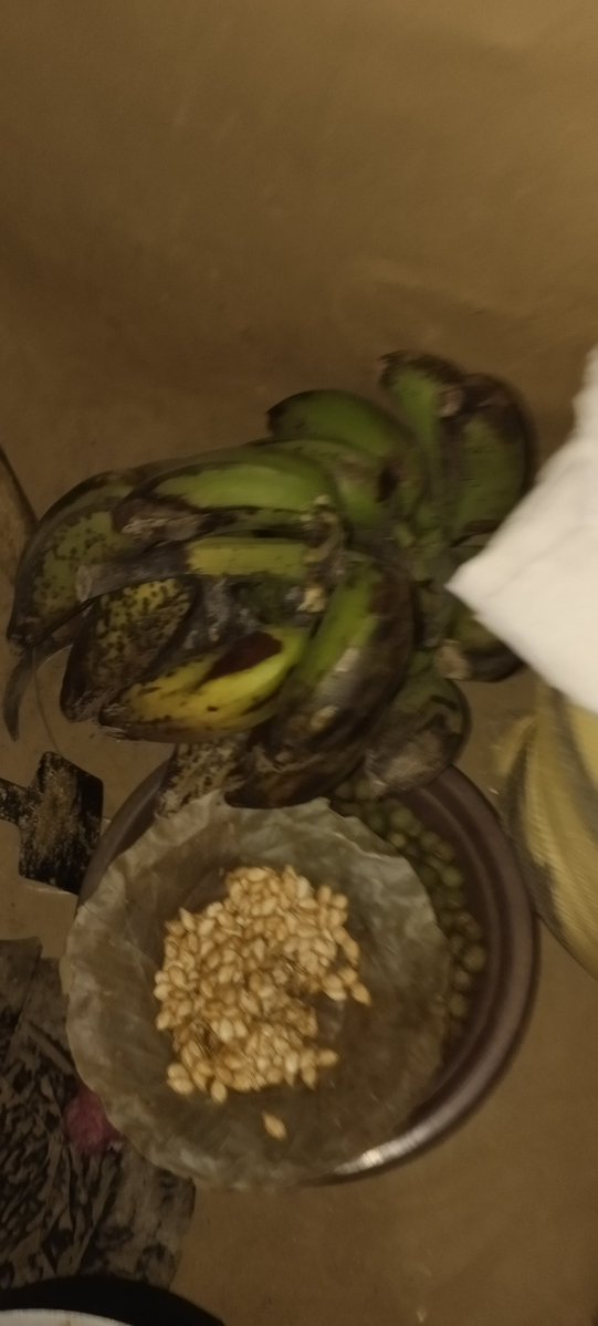 देश मा केराको भाउ बढेर हैरान छरे , हाम्रो घर का केरा कुनामा छुप्री पर्या छन् 😂