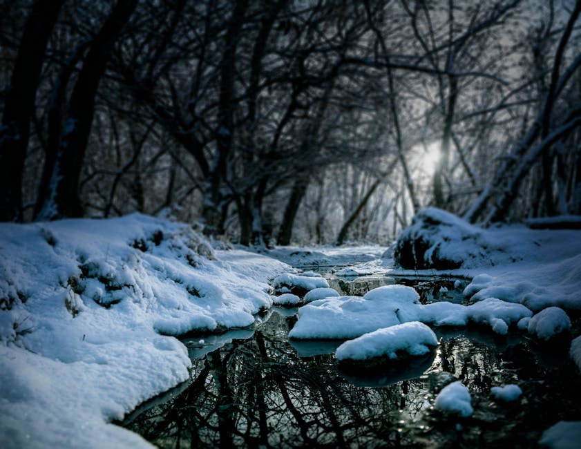 Jennifer Nash tweet media