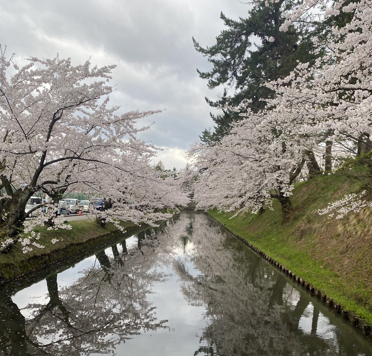 guramberry2's tweet photo. 週末はお花見三昧🌸
天気がどんよりであまり綺麗に撮れませんでしたが、ちょうど見頃でした。
#弘前さくらまつり #弘前城 https://t.co/vu2V4BNfYq