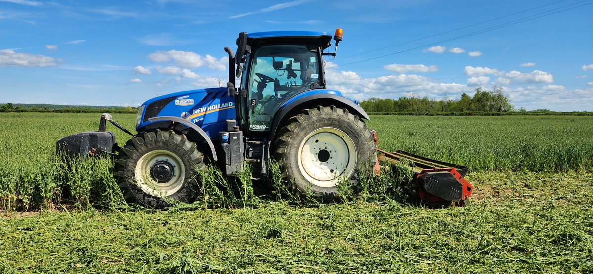 Stéphane AUROUSSEAU 👨‍🌾☘️🐖🐮🐓🚜 tweet media